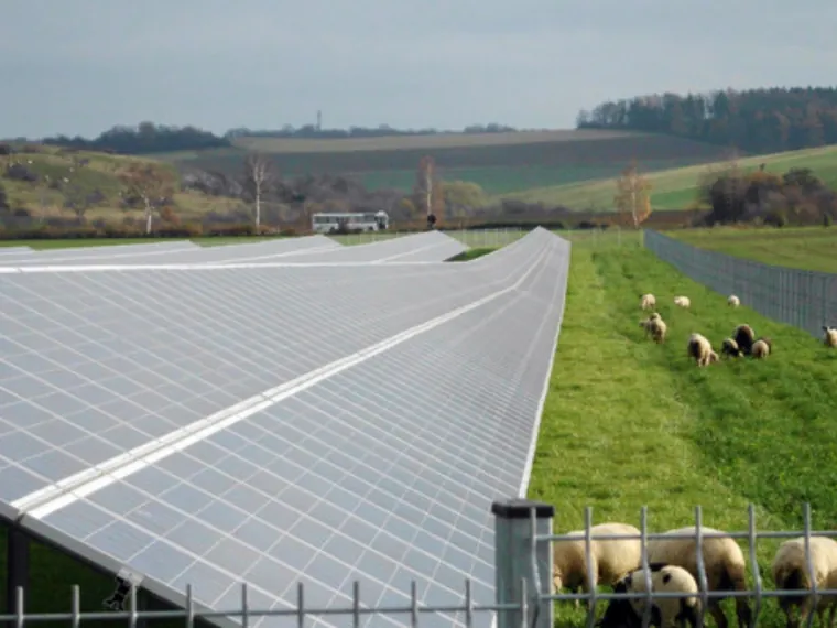 Agrarfläche, semitransparente Module